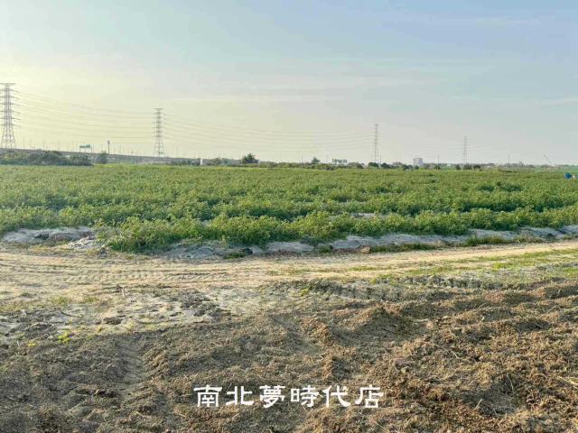 台南新市農地-6