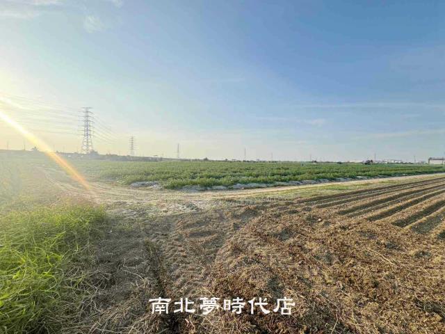 台南新市農地-7