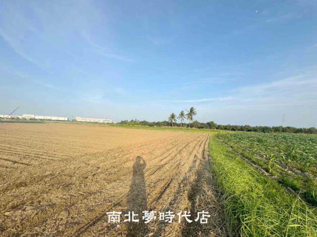 台南新市農地-8