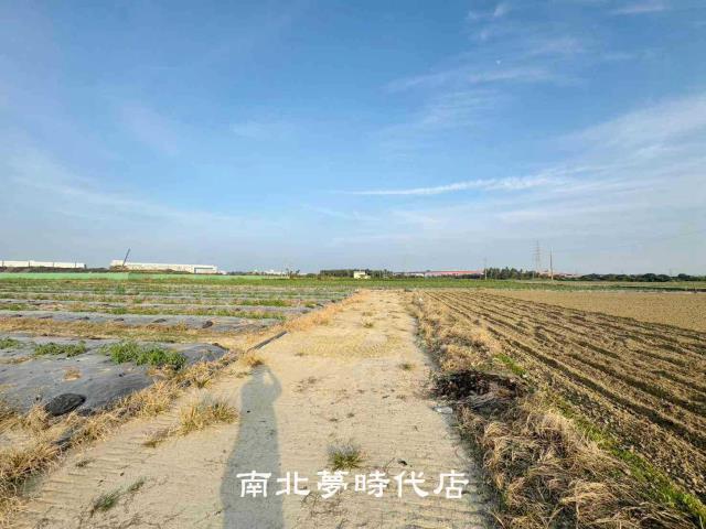 台南新市農地-6