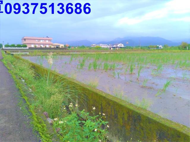 宜蘭三星農地-1