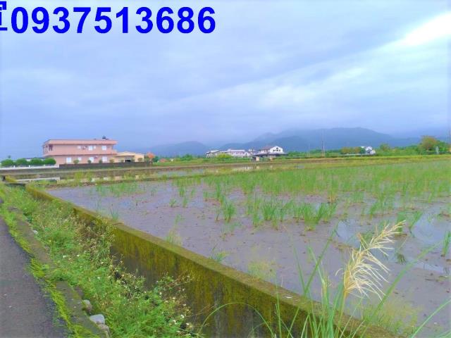 宜蘭三星農地-4