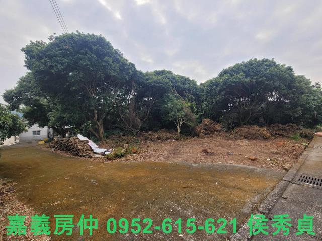 嘉義竹崎農地-5