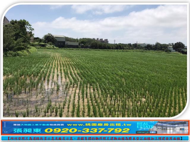 觀音農地-1