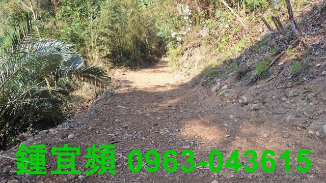 新竹山坡地-1