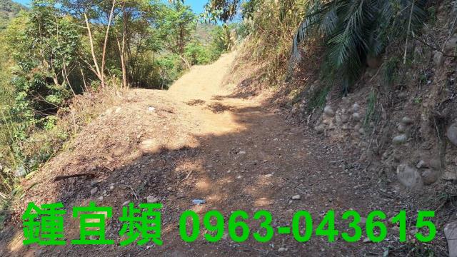 新竹山坡地-2