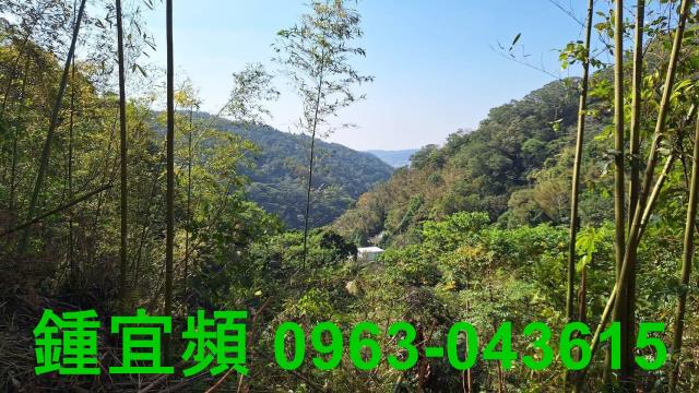新竹山坡地-5