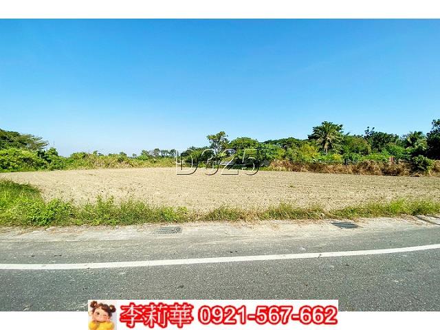台南農地-4