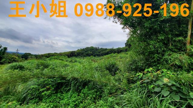 桃園龍潭農地-8