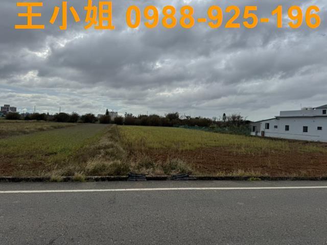 桃園新屋農地-10