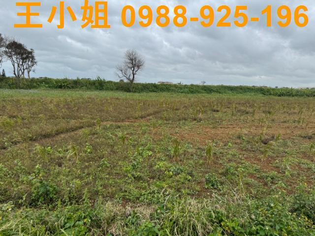 桃園新屋農地-13