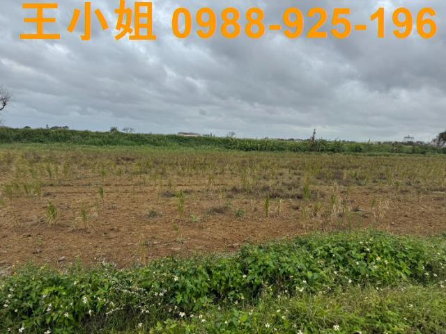 桃園新屋農地-14