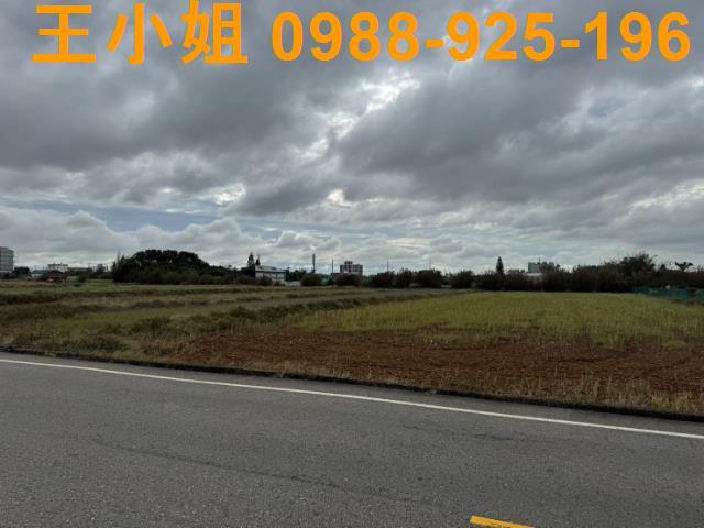 桃園新屋農地-8