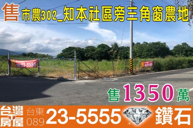 台東台東市農地-0
