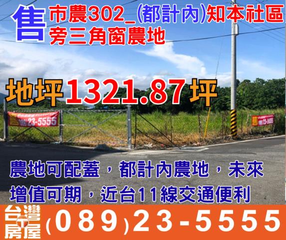台東台東市農地-1