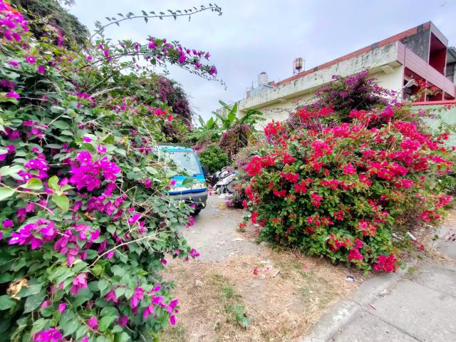 溪湖農地-4