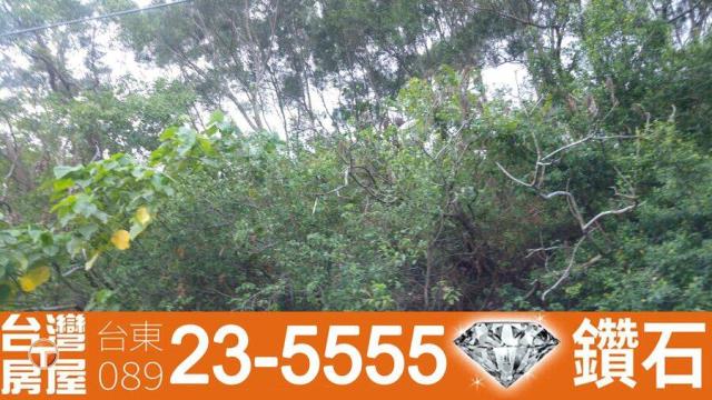 台東台東市農地-7