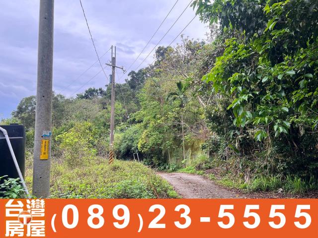 台東台東市農地-3
