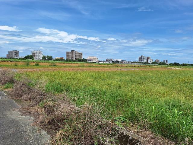 台南新市農地-3