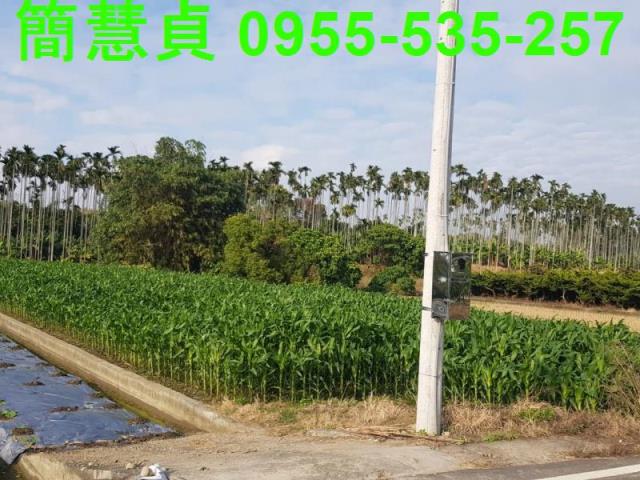南投農地-1