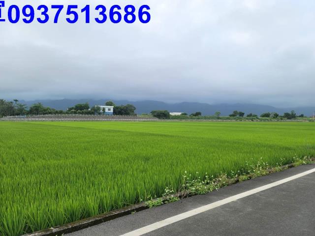 宜蘭礁溪農地-12