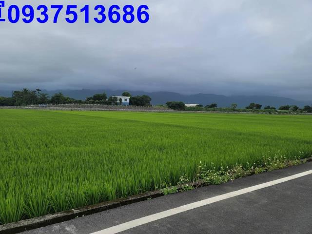 宜蘭礁溪農地-13