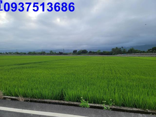 宜蘭礁溪農地-14