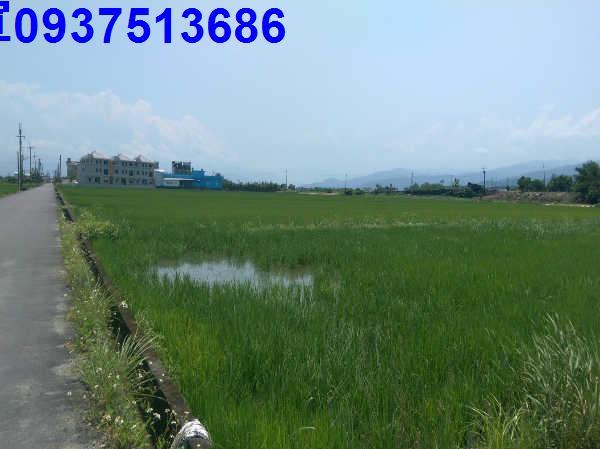 宜蘭礁溪農地-1