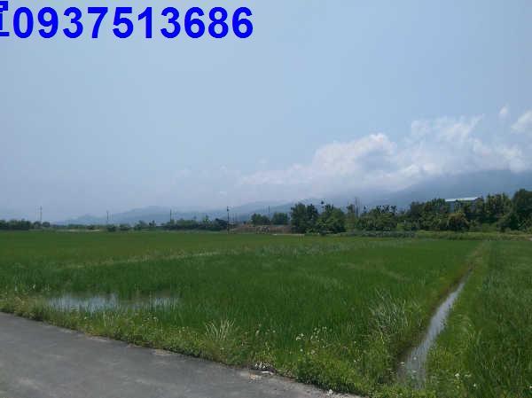宜蘭礁溪農地-3