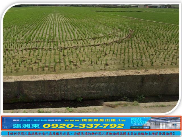 桃園新屋農地-2