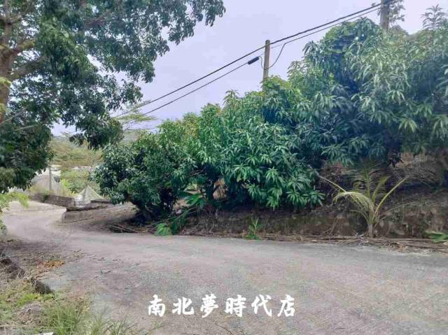楠西農地-14