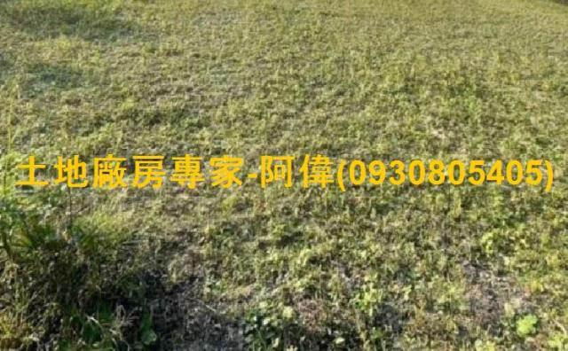 高雄大寮農地-0