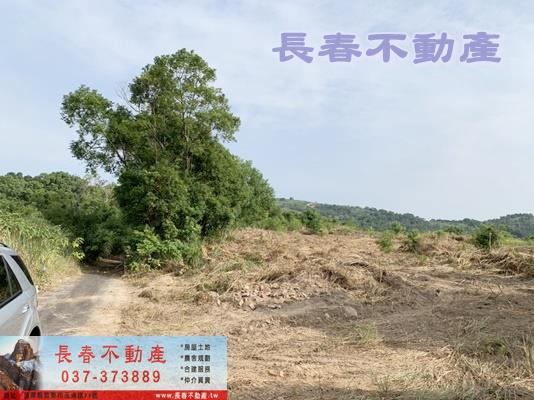 苗栗市農地-1