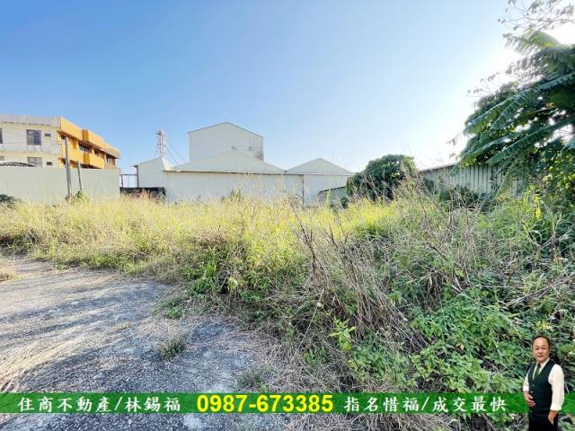 善化工業地-5