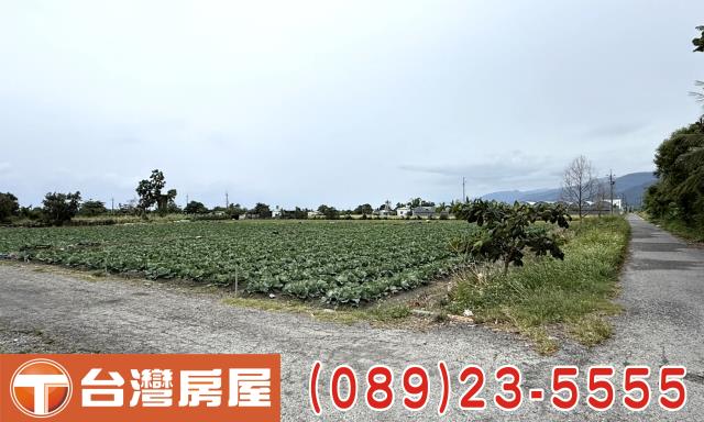 台東台東市農地-5