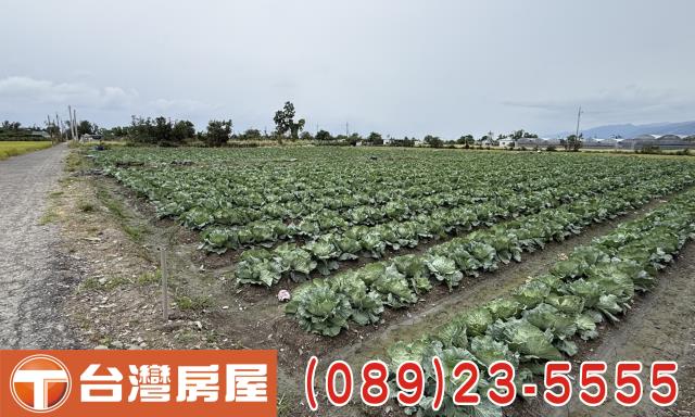 台東台東市農地-7