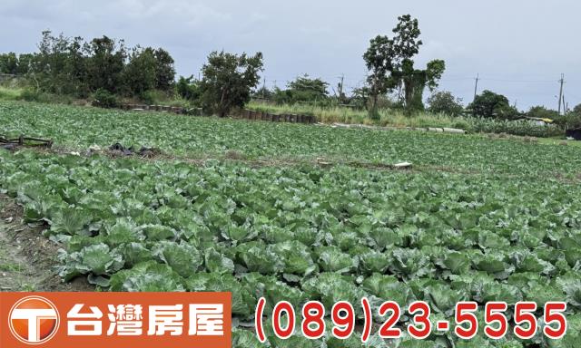 台東台東市農地-8