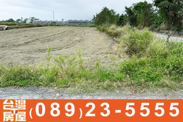 台東台東市農地-5