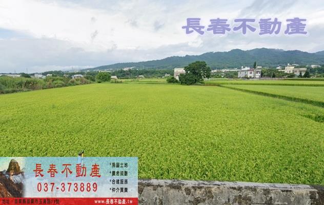 銅鑼農地-0