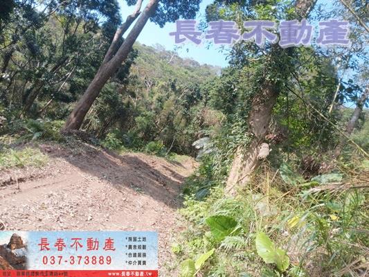 三義農地-1
