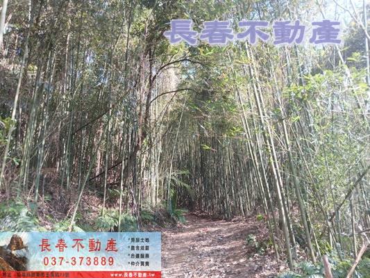 三義農地-2