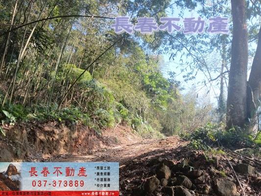 三義農地-3