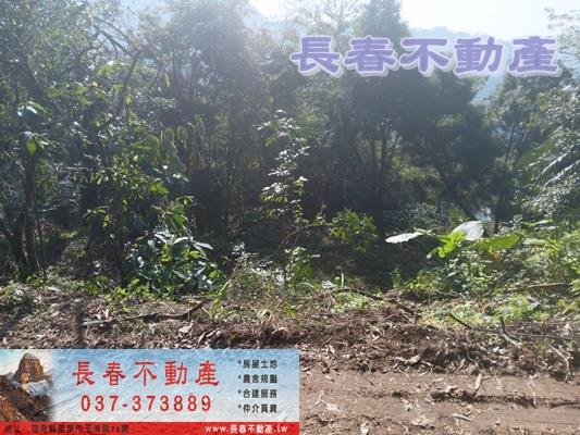 三義農地-4