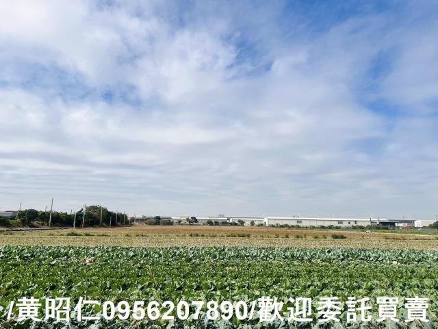 台南歸仁農地-2