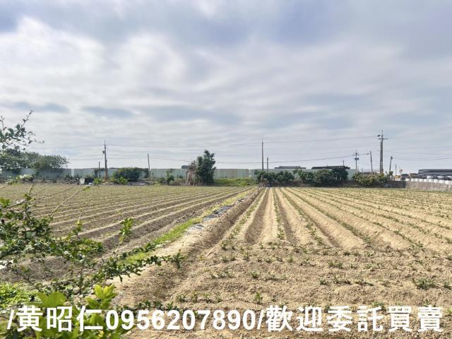 台南歸仁農地-5