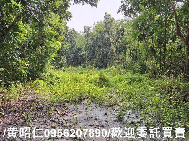台南龍崎農地-5