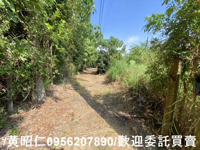 台南玉井農地-4