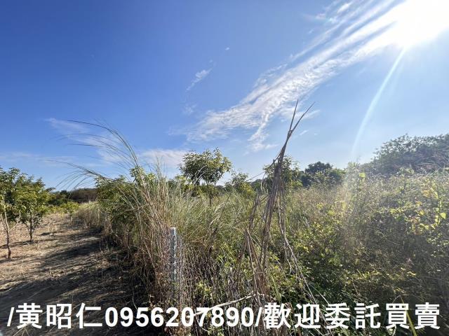 台南玉井農地-0