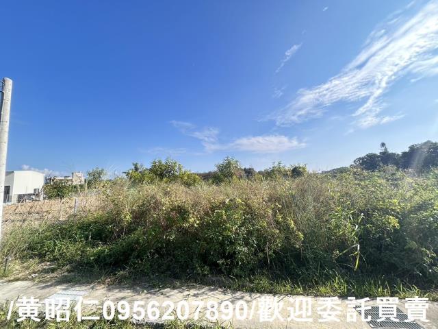 台南玉井農地-1
