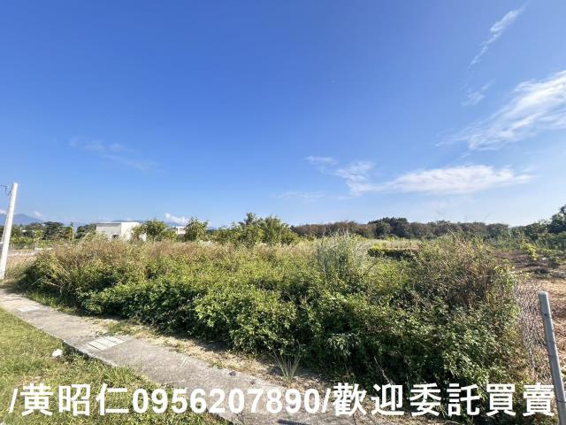 台南玉井農地-4